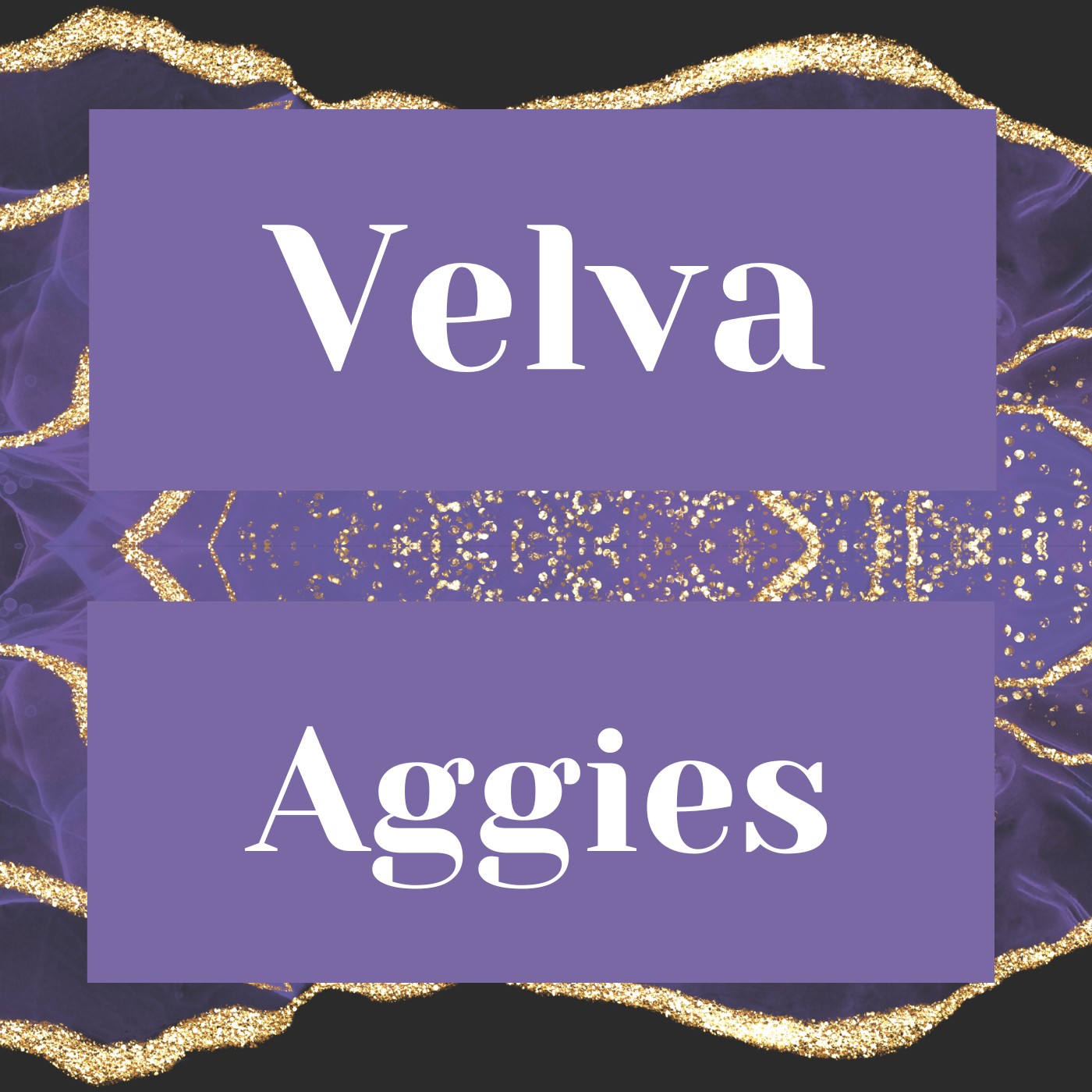 Velva Aggies