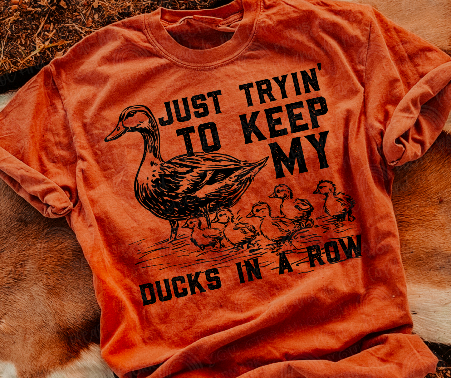 Just trying to keep my ducks in a row