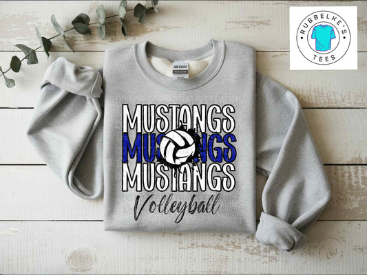 Volleyball x3