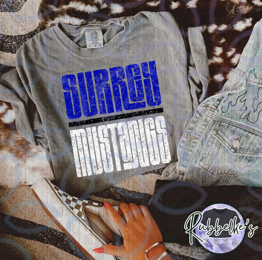 Surrey Mustangs (grunge)