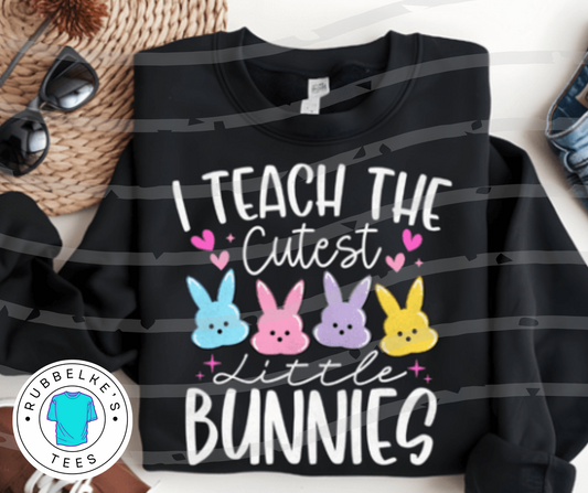 I teach the sweetest bunnies